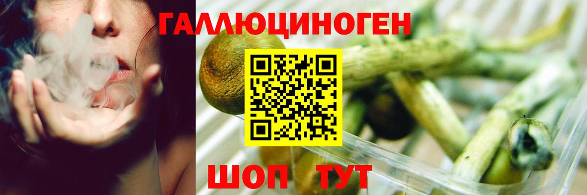 Карпинск  наркотики  Вход с VPN  Псилоцибиновые грибы мицелий 
